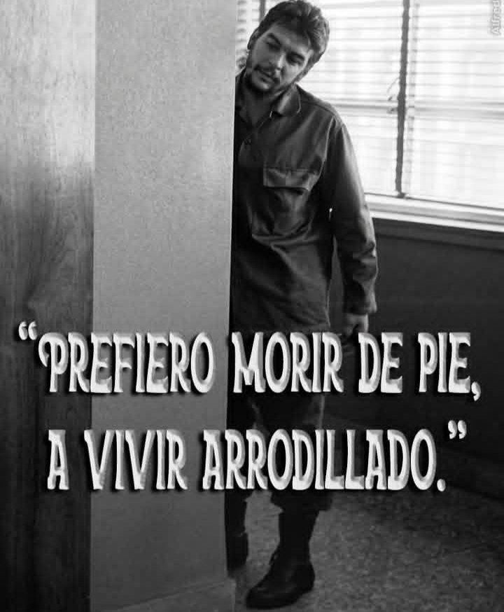 ReinaPrez291785's tweet photo. Solos los que viven de rodillas ven a sus enemigos como gigantes".
#ChèVive.
#Cuba. https://t.co/WWw0xfSEP7