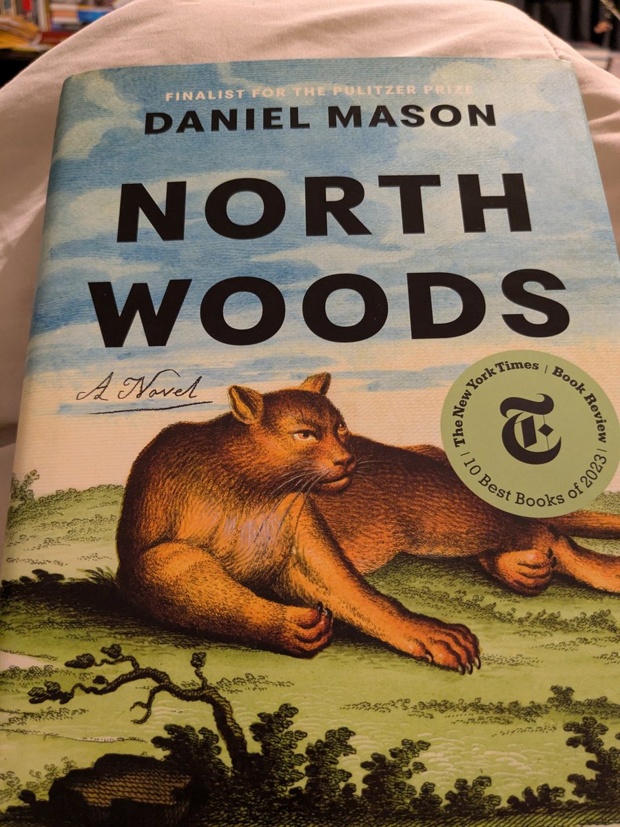 Into The Forest Dark tweet media