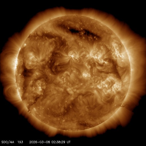 SCiESMEX/LANCE/UNAM tweet media