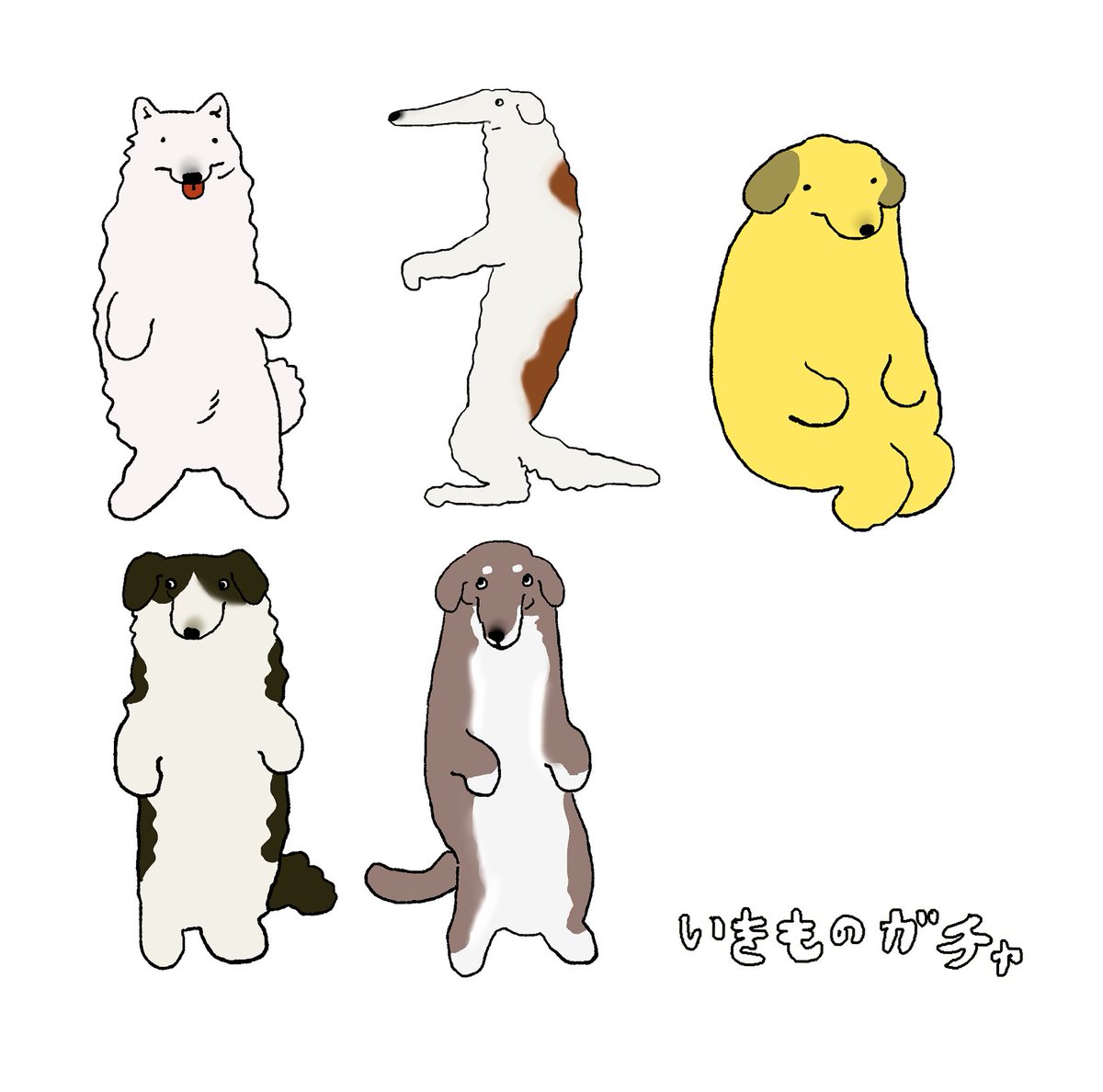 米粒くん tweet media