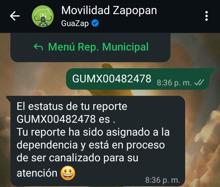 ¿Se acuerdan que el lunes denuncié este caso? 

Bueno, según <a href="/GdlMovilidad/">Movilidad Gdl.</a> "aún no lo canalizan" 🙄

¿En promedio cuánto tardan en atender reportes? 

Mientras esto incultxs obstruyen, mi mamá con osteoporosis tiene que EXPONERSE <a href="/Trafico_ZMG/">TráficoZMGuadalajara</a> <a href="/conVIVEgdl/">conVIVEgdl 🚶🏻‍♀️</a> <a href="/CienciaVial/">Conciencia Vial</a> <a href="/JaliscoVial/">Policía Vial Jalisco</a>