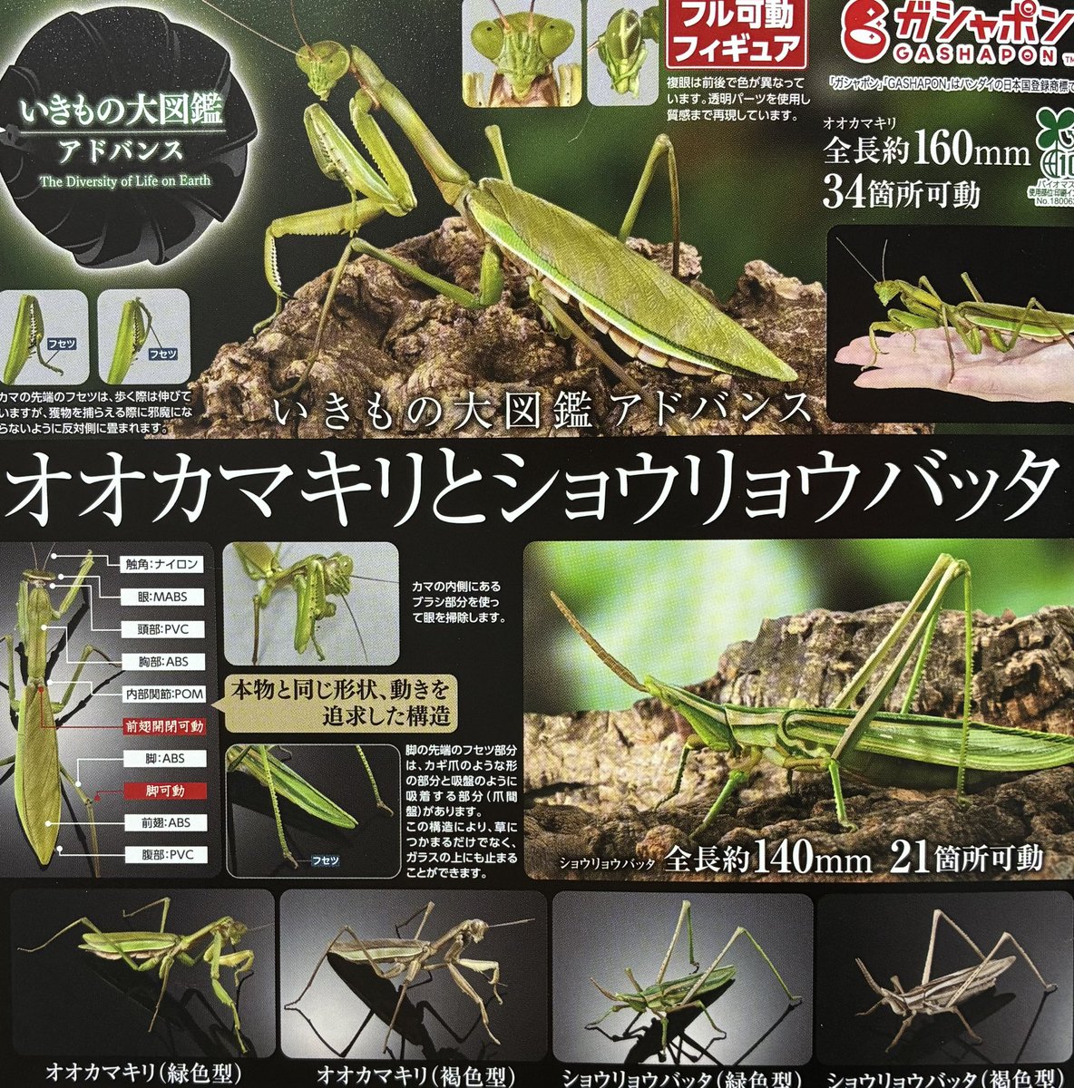 🌈✨️3月8日(日)再入荷情報②✨🌈 💚いきもの大図鑑アドバンス