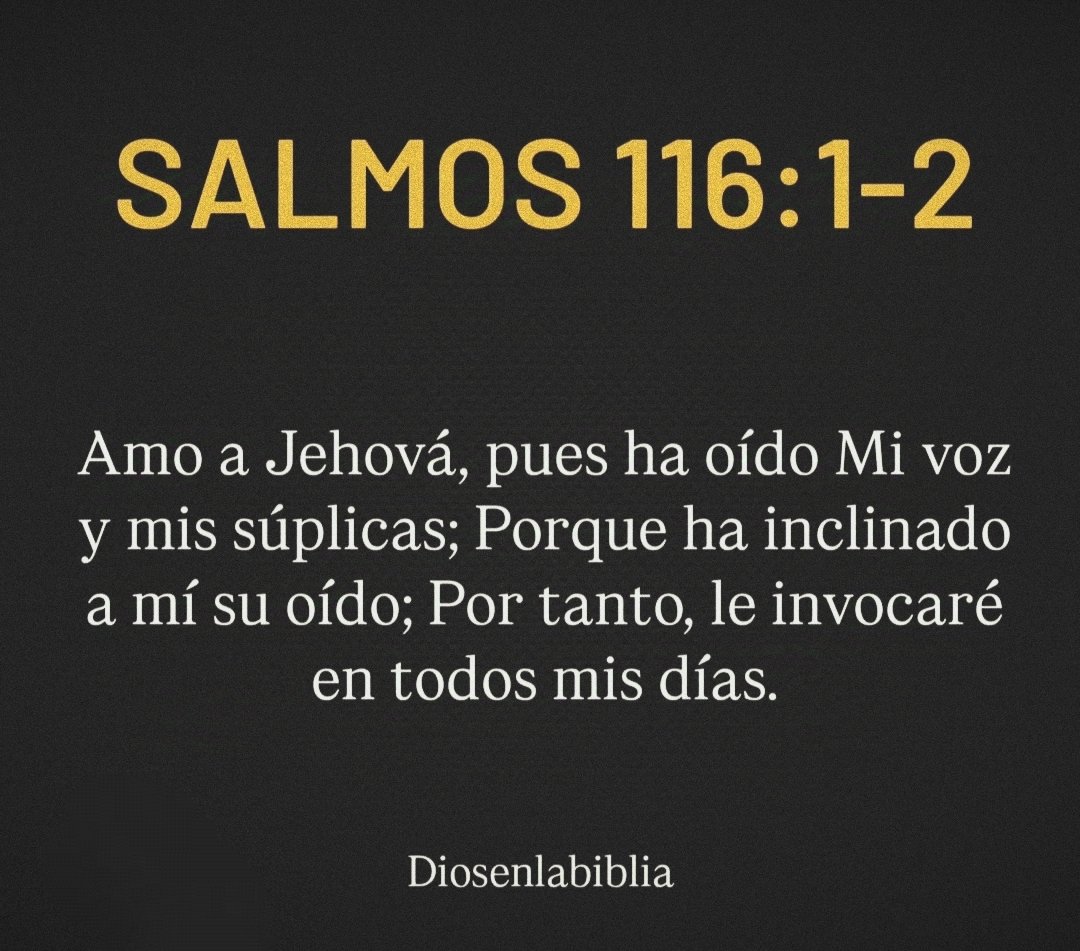 ALDOPAZAM33's tweet photo. https://t.co/r4BLhzIopq