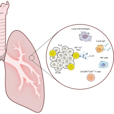 Waggoner Lab tweet media