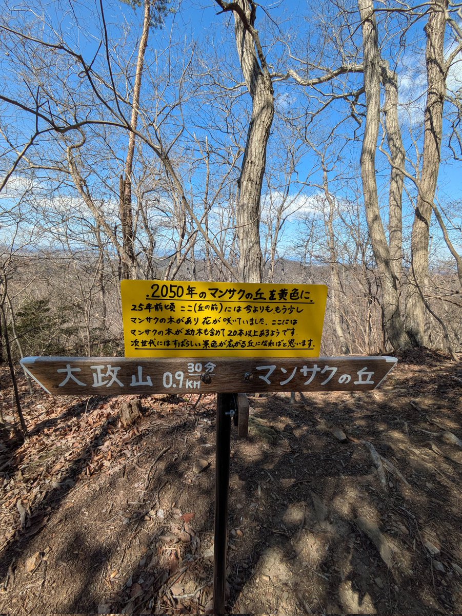iryujon1984's tweet photo. ①大政山(283m)だいしょうざん
　茨城県桜川市

②北側から見た筑波山
③マンサクの花
④マンサクの丘への分岐 https://t.co/3iu5veoTwo