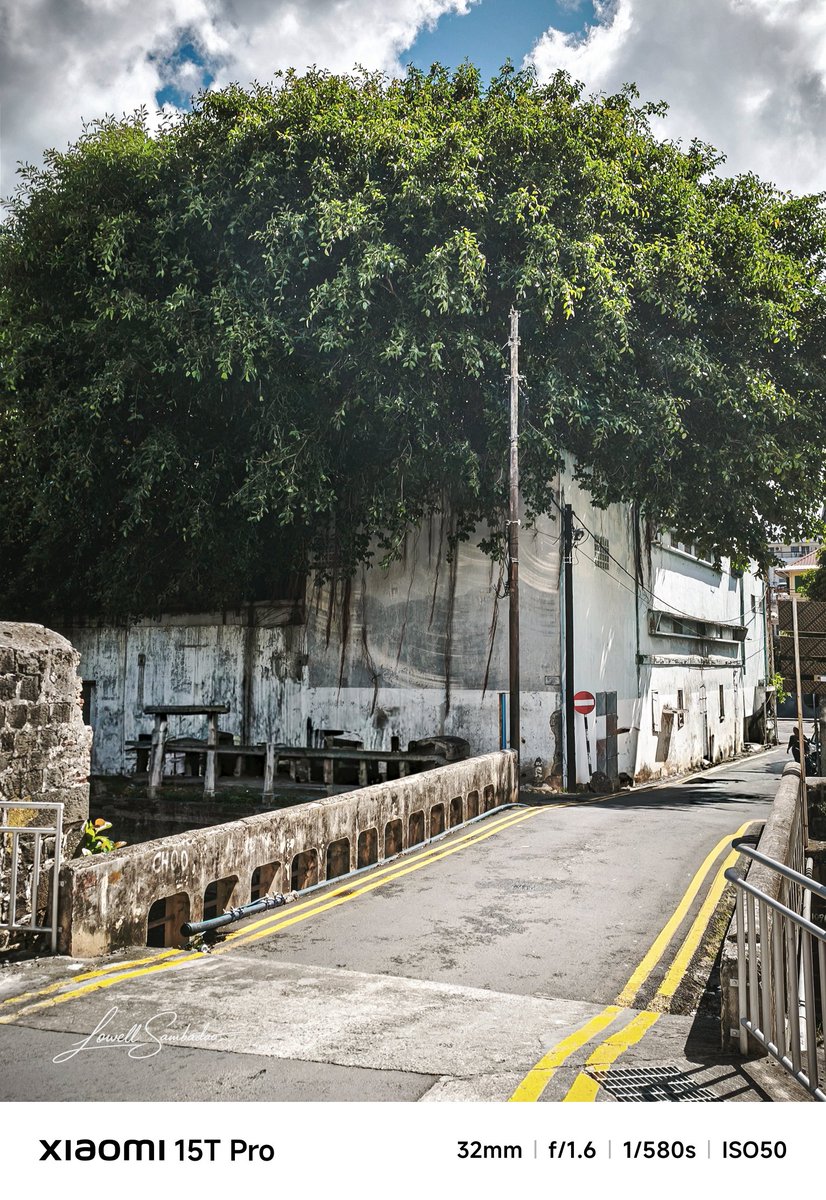 Jlowell3's tweet photo. Nature reclaiming the city. 🌿
A quiet street in Port Louis where roots slowly take over the walls of time.
#UrbanNature
#NatureReclaims
#StreetPhotography
#ShotOnXiaomi
#Xiaomi15TPro https://t.co/ew7Ci5vjNH
