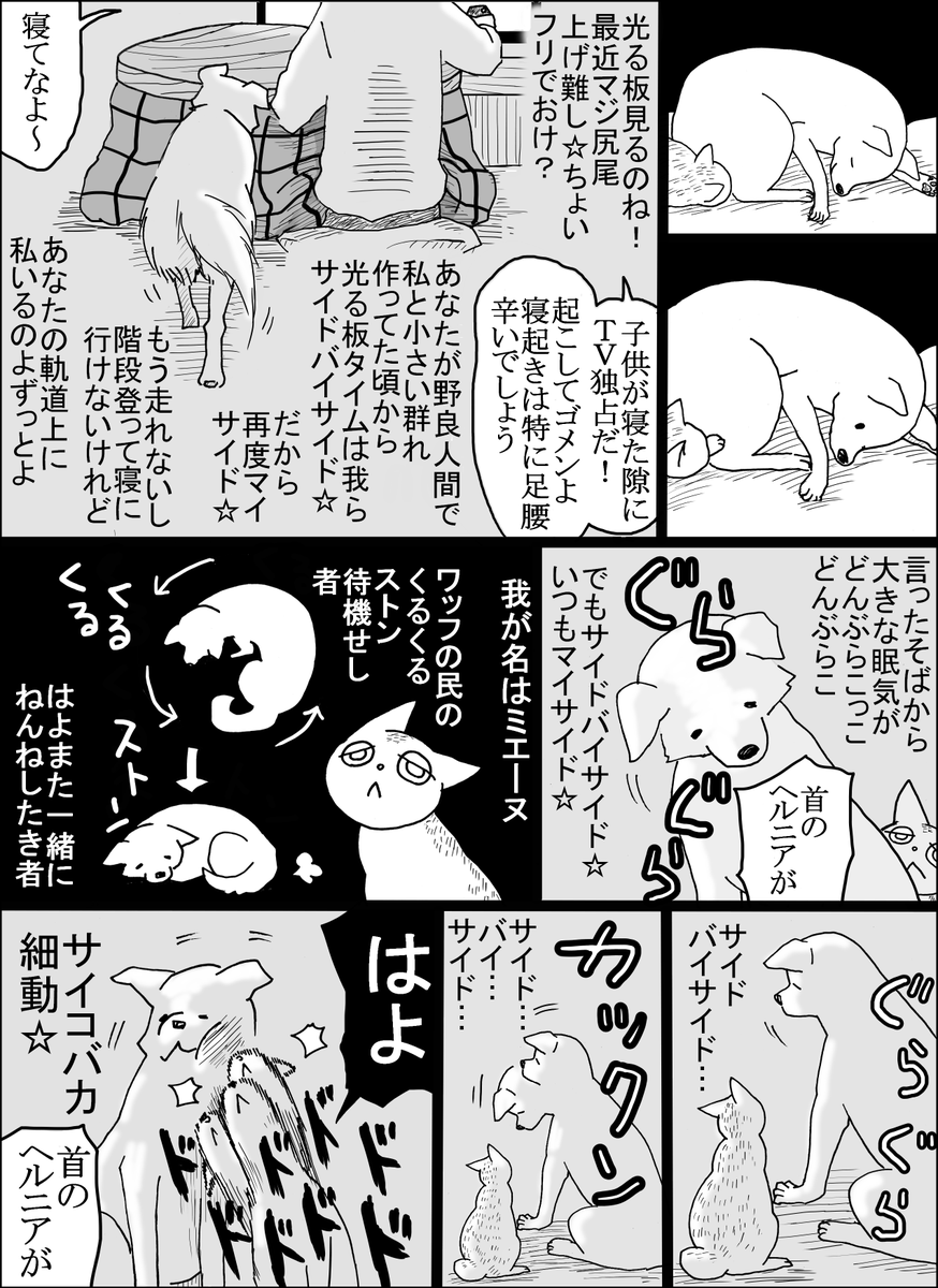 セントラルド熊 tweet media