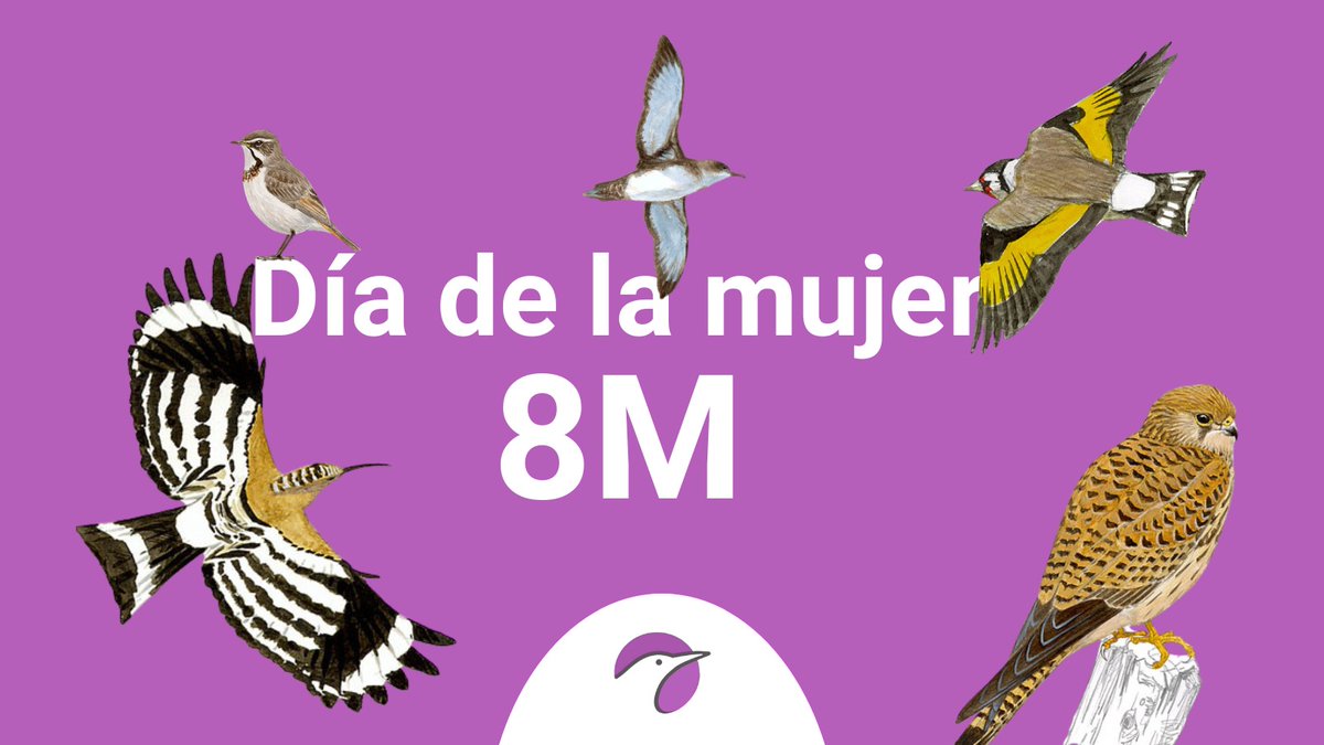 Asun Ruiz tweet media