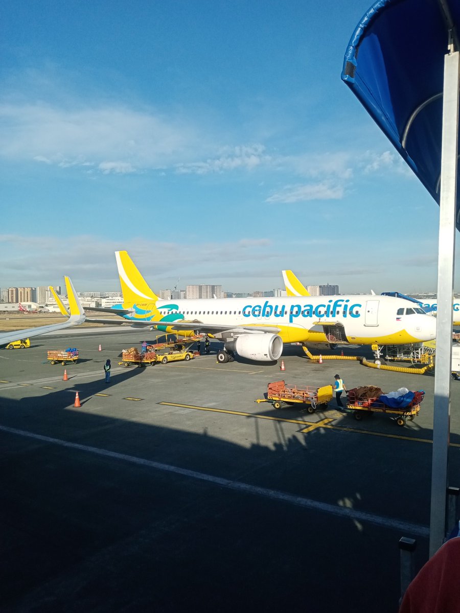 Zan Mejas  tweet media