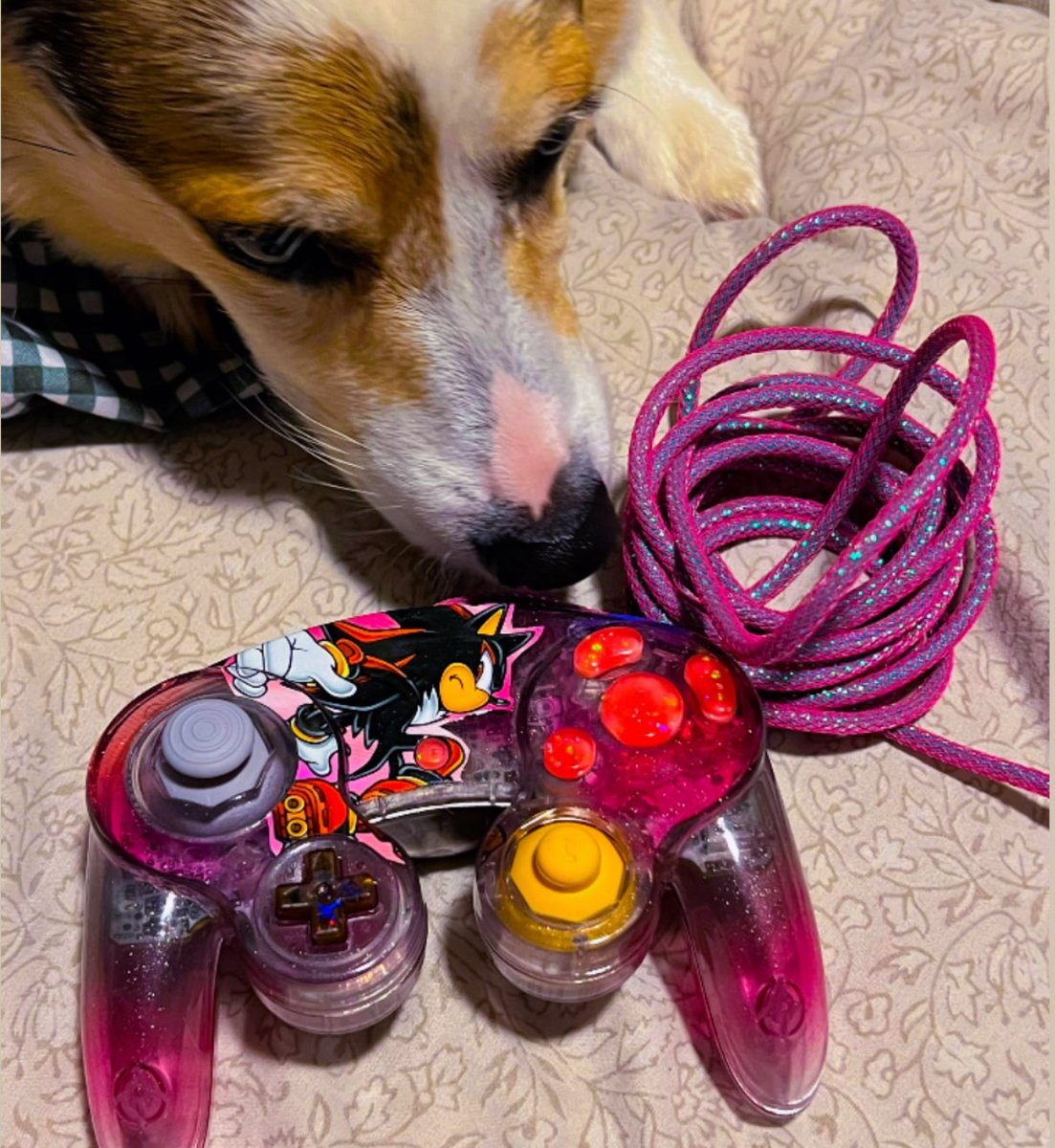 sadtatouille's tweet photo. ੈ✩‧₊˚ new controller alert! ੈ✩‧₊˚
 • shell by @littleteafox 
 • buttons &amp; cord by @QofDQ https://t.co/WwjIFXzBm0
