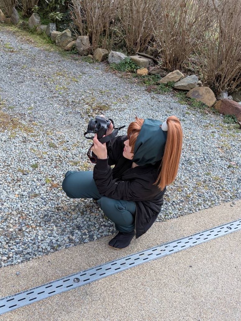 大和(オムレツ) tweet media