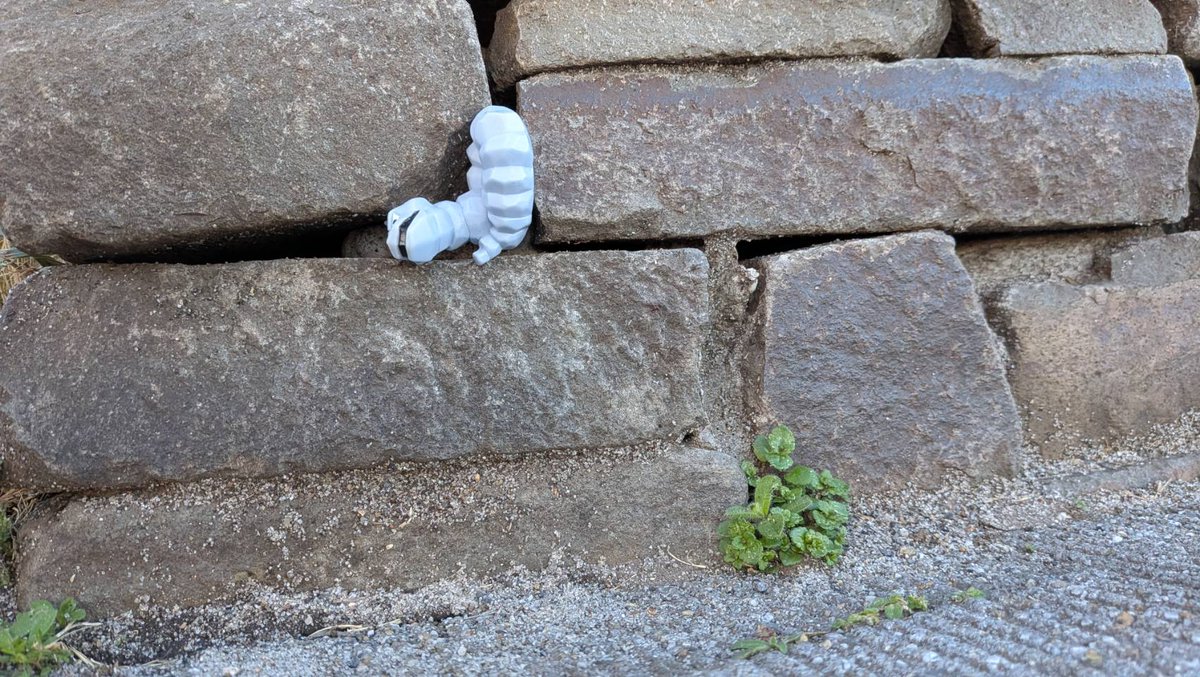 裏切りと絶望のイワク tweet media