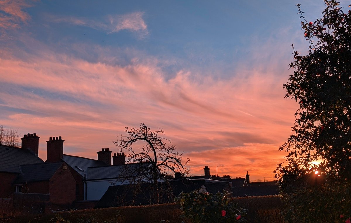 Anne Kelly ⛔NO DMs⛔ unless I know or follow you. tweet media