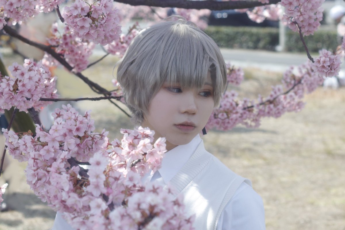 ヨシナ@🍵 tweet media