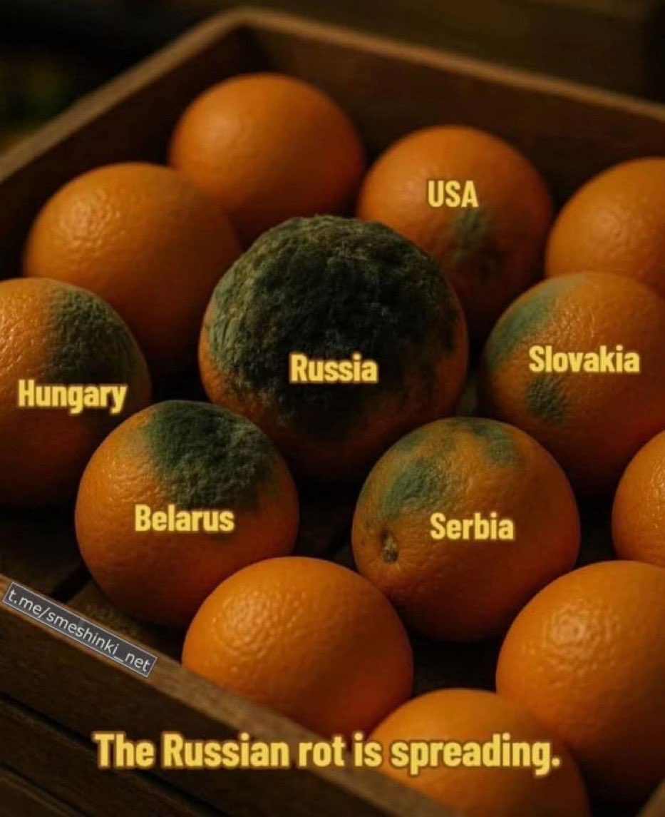 The russian rot is spreading