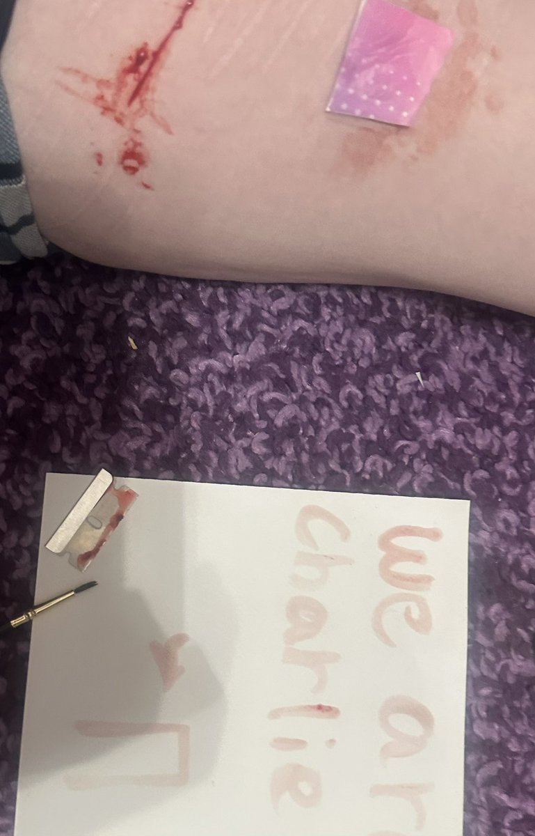 wontson's tweet photo. group sesh w twin we painted this in blood (ignore the pad taped to his thigh) #shtwt https://t.co/hCrfQDQ4Tj