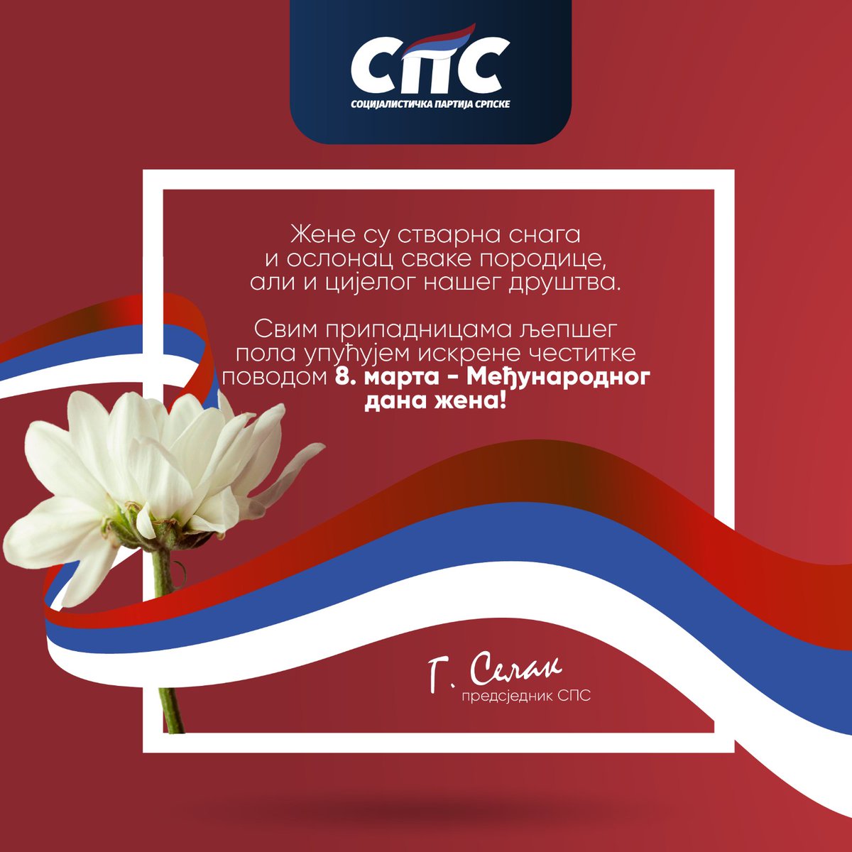 Selak Goran tweet media