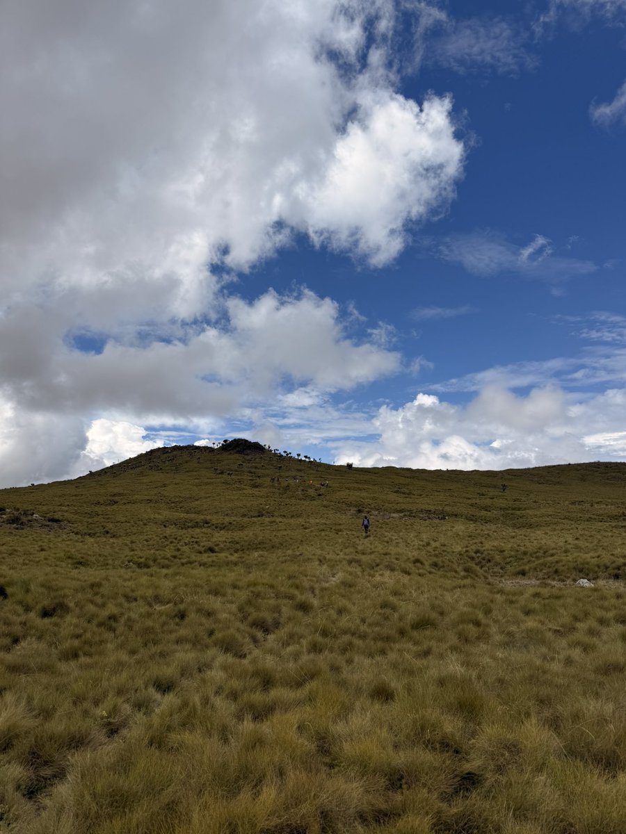 agoro__'s tweet photo. Finally ticked Kanyundo Peak and Maratini Hill off my Aberdare bucketlist after so many years of dreaming😊. 
Hike was organized by @AviExpeditions https://t.co/9583njYcNo