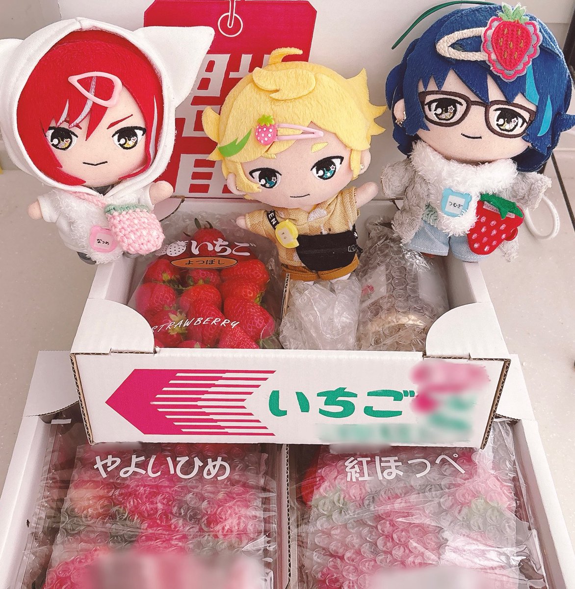 ひとの世に興味があるわた(たち) tweet media