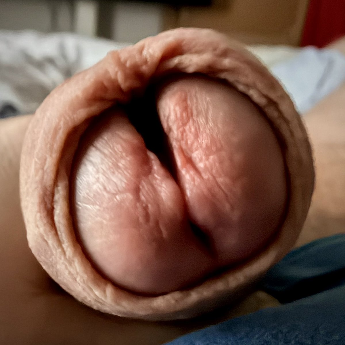 SplitToObey tweet media