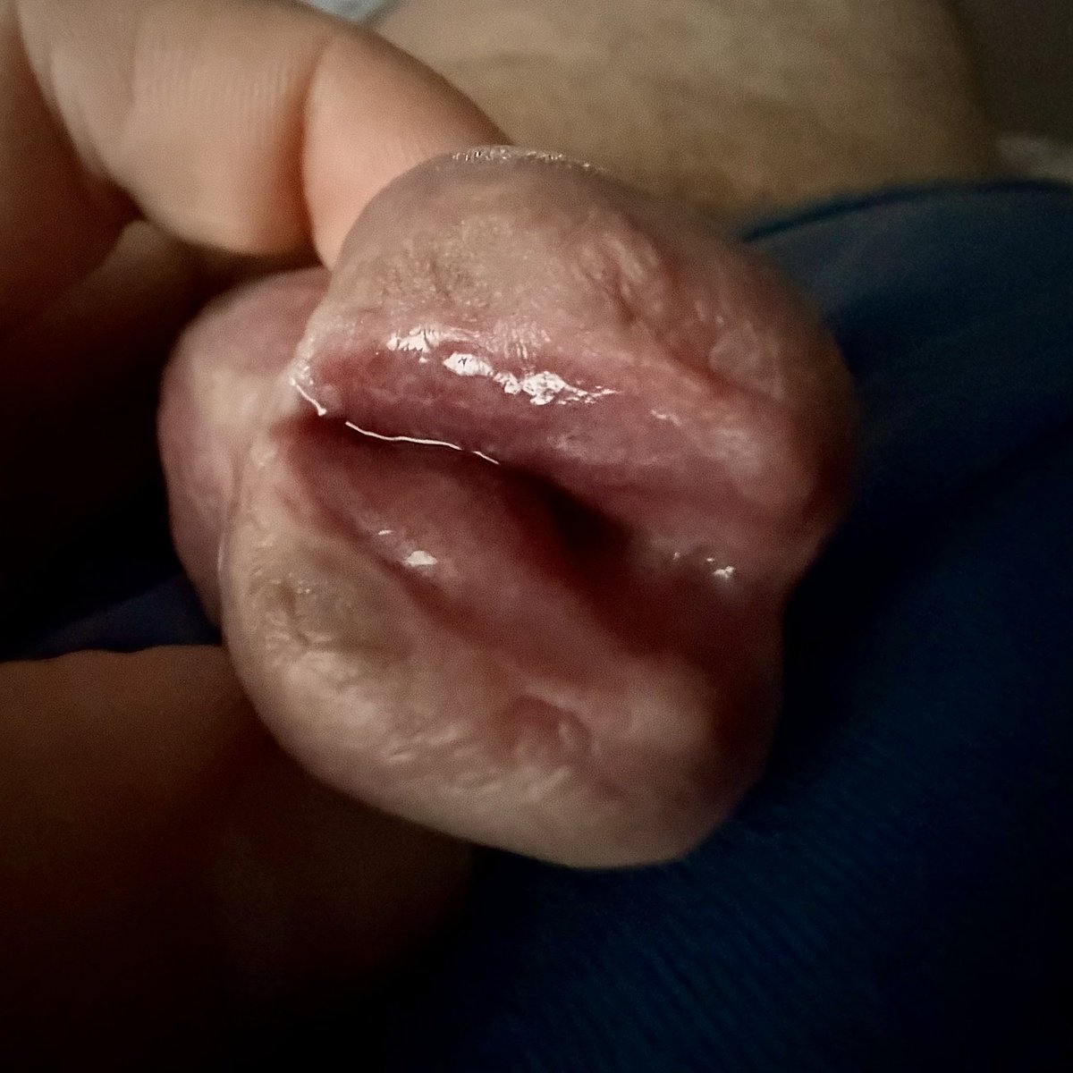 SplitToObey tweet media