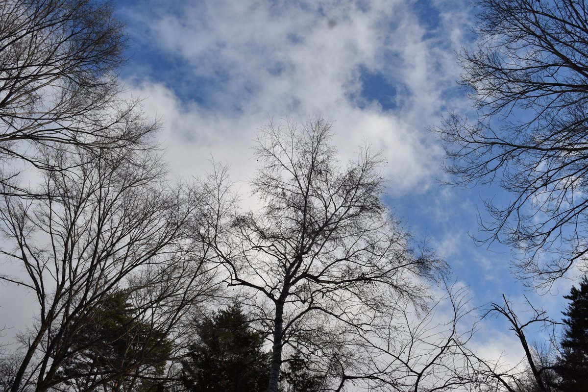 今日は冬のように寒い。
雨でたまった水が凍ったまま。
遥か高い雲と凍った風。