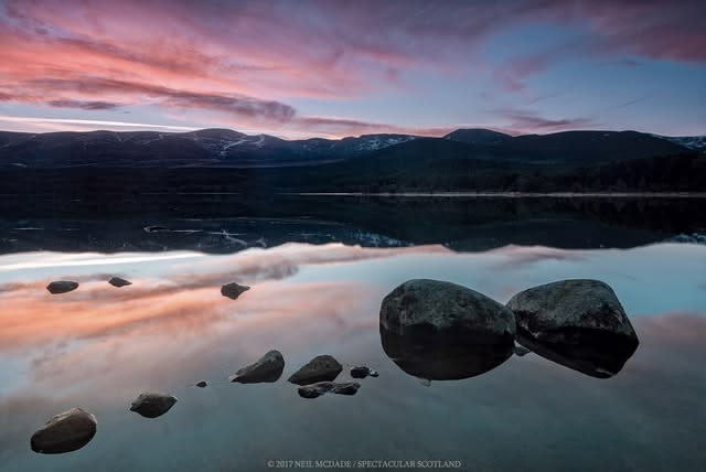 DavyTolmie tweet media