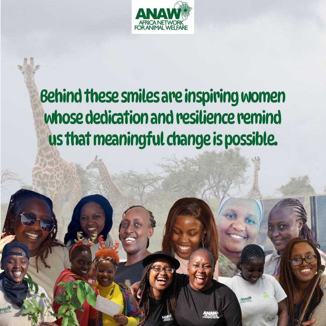 Africa Network for Animal Welfare tweet media