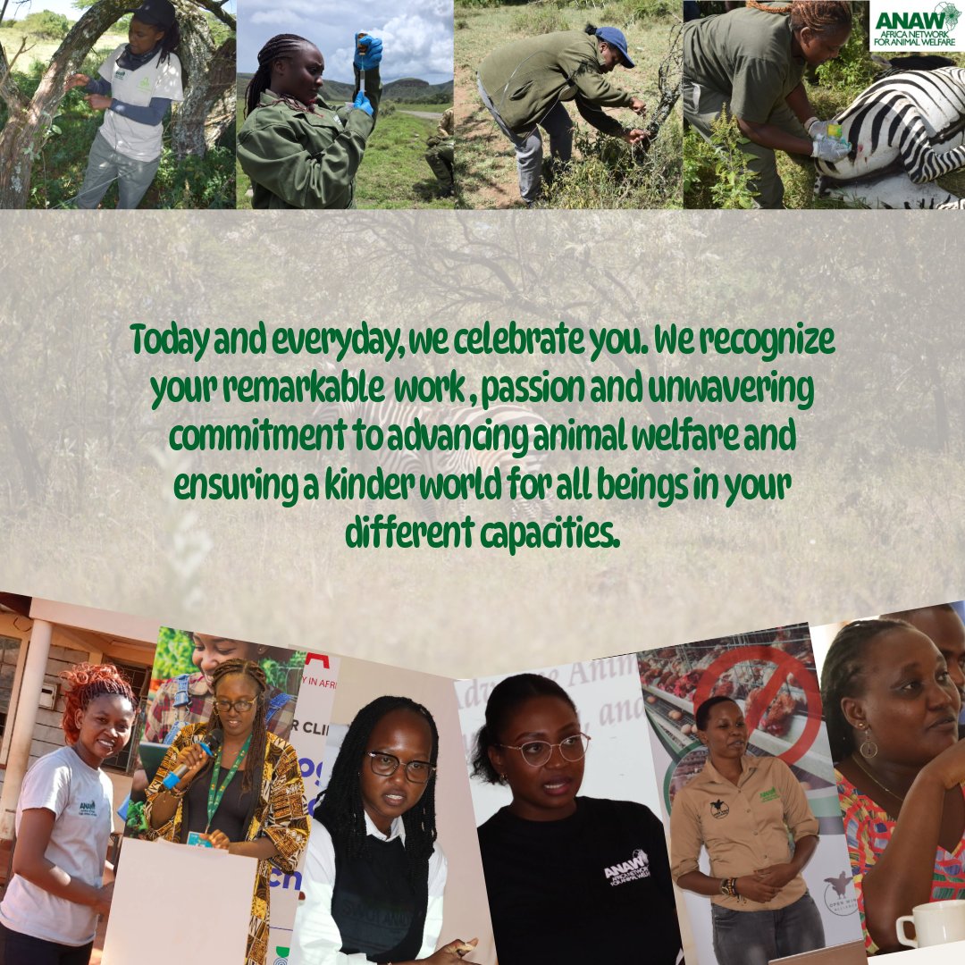 Africa Network for Animal Welfare tweet media