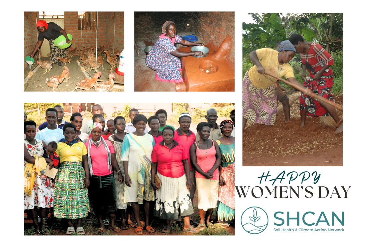 soil_climate's tweet image. HAPPY WOMEN'S DAY 2026
#WomensDay2026  #SoilHealth #CropProgress #SustainableFarming #DemoGardens #Hoima #RichEarthInstitute #EarthRaisingFoundation #AgricultureDevelopment