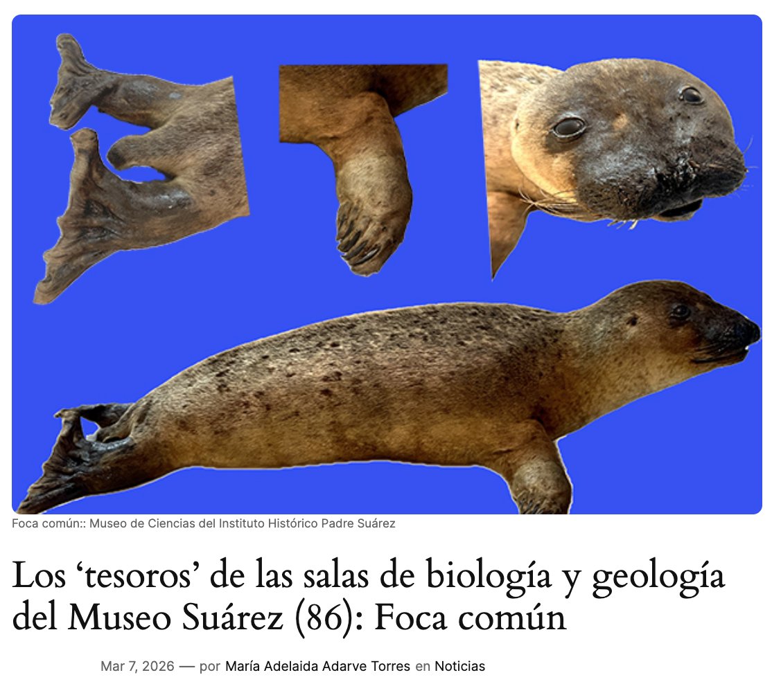 IES San Isidro 400 aniversario tweet media