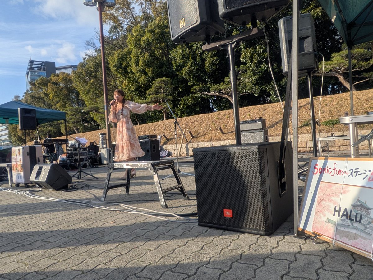 sonicform/大阪城公園 城天ｽﾄﾘｰﾄ tweet media