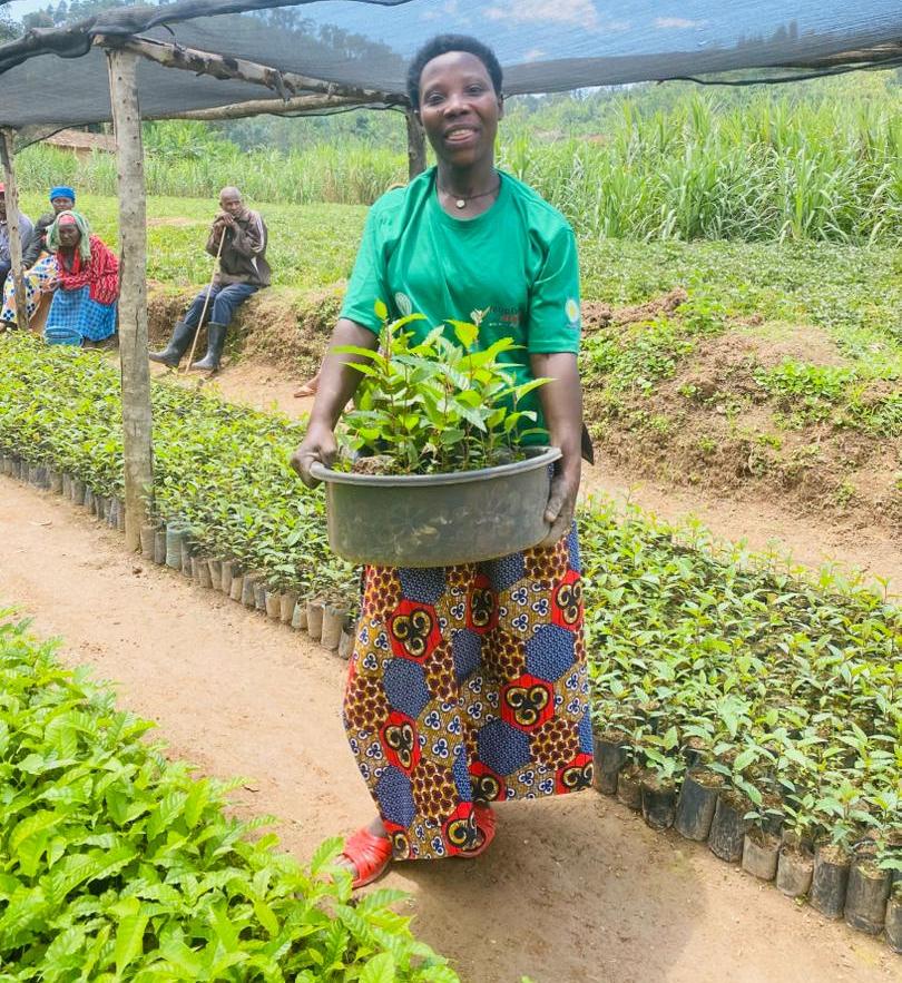 Rwanda Rural Rehabilitation Initiative, RWARRI tweet media