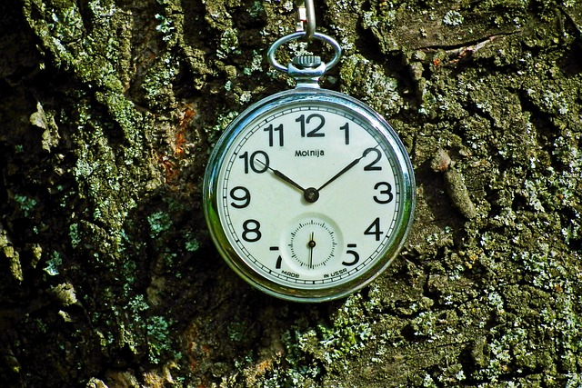 Angela Stewart tweet media