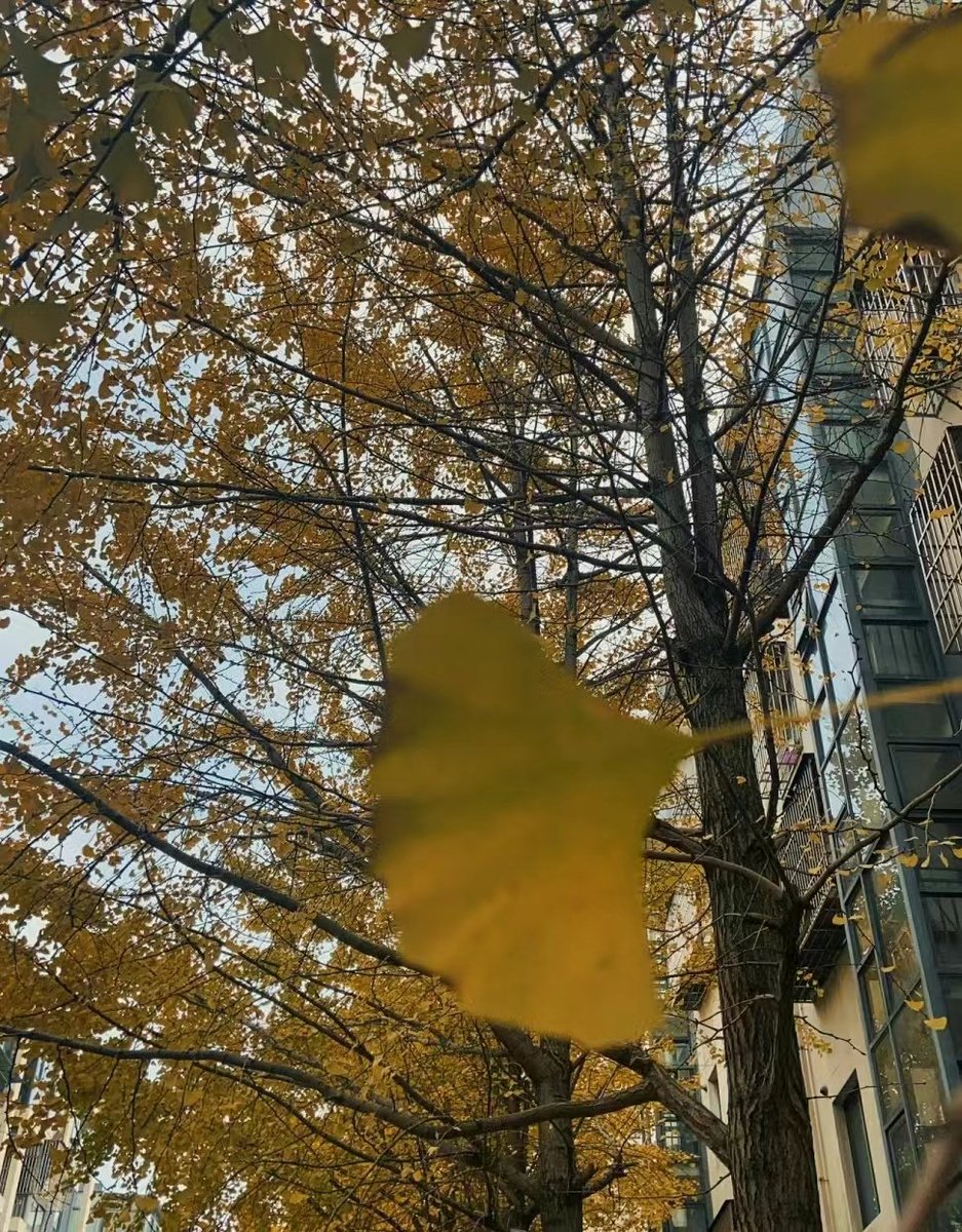 Trading -Assistant tweet media