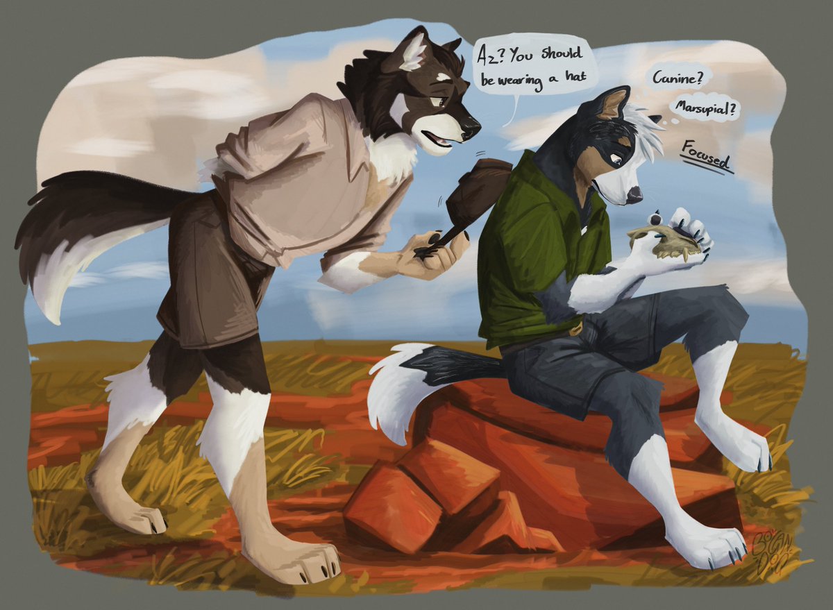 Bogandoq tweet media