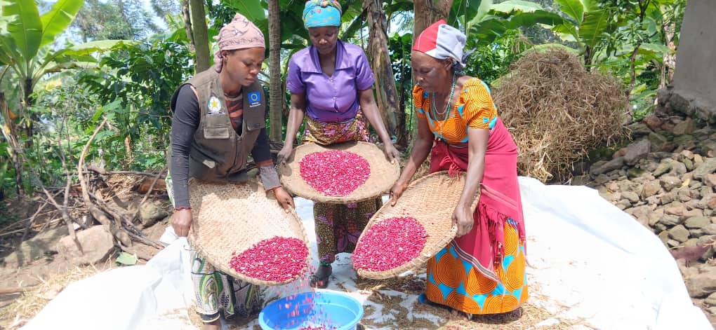 Rwanda Rural Rehabilitation Initiative, RWARRI tweet media