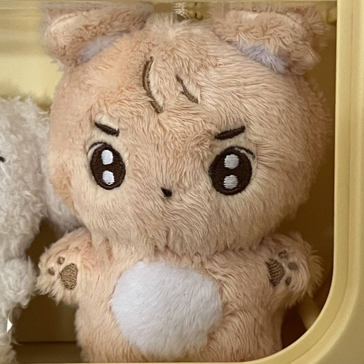 투바투 범규 인형 밤깅이 양도합니다

1.7
포장만 뜯고 보관 했습니다
사용감 ❌
반택 ⭕️

open.kakao.com/o/saAKDnNh

투모로우바이투게더 txt 투바투 모아 moa 모구모구 트친소 수빈 연준 범규 태현 휴닝카이