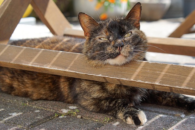 Adam Bates tweet media