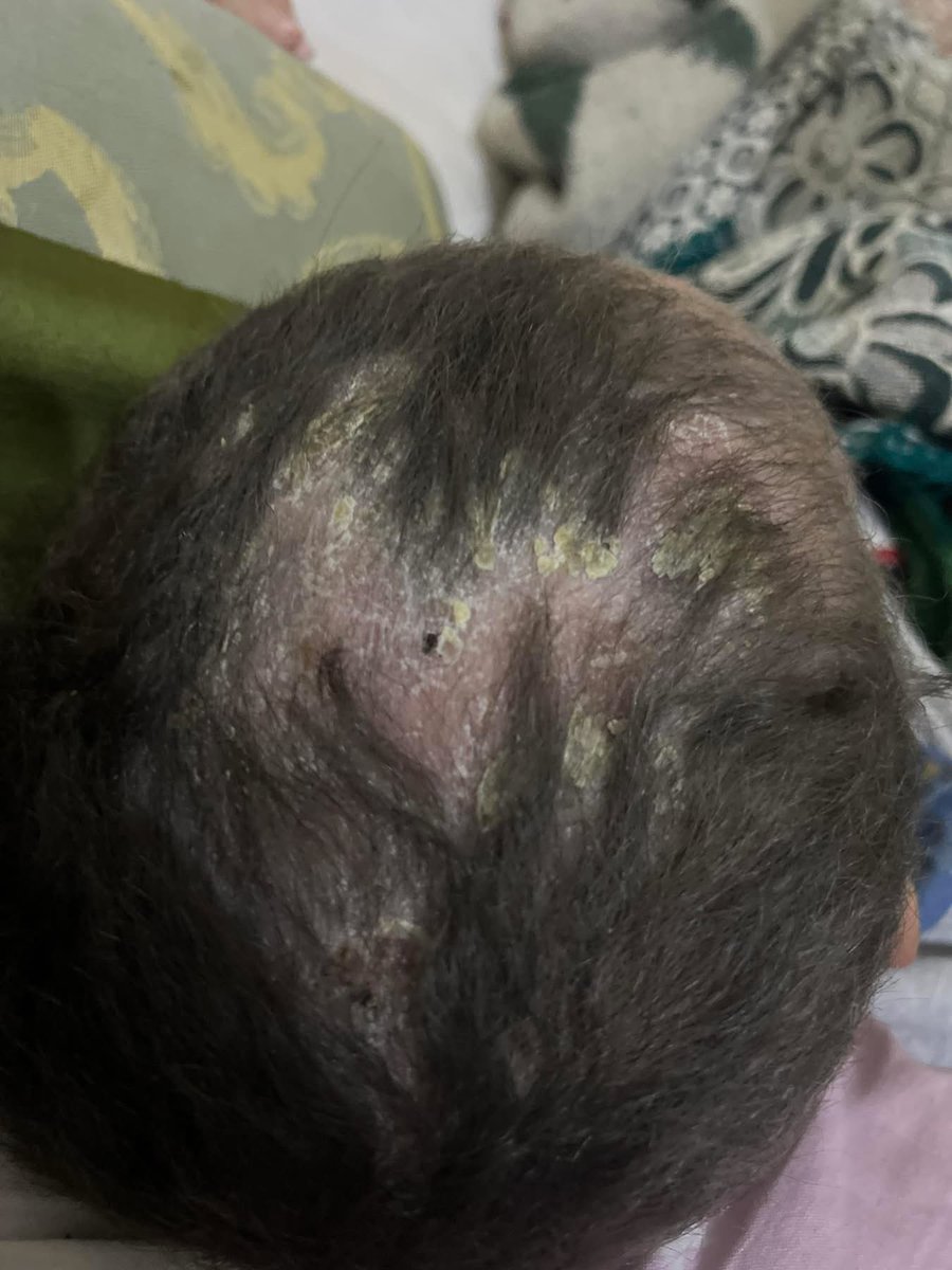 Dr.SAEB_FROM_GAZA tweet media