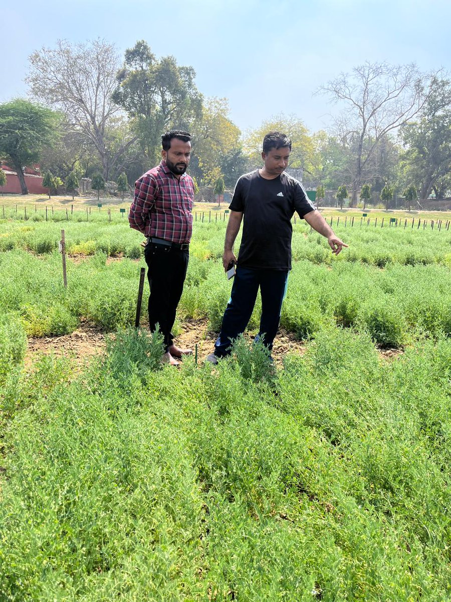 Ashutosh Kumar Yadav tweet media