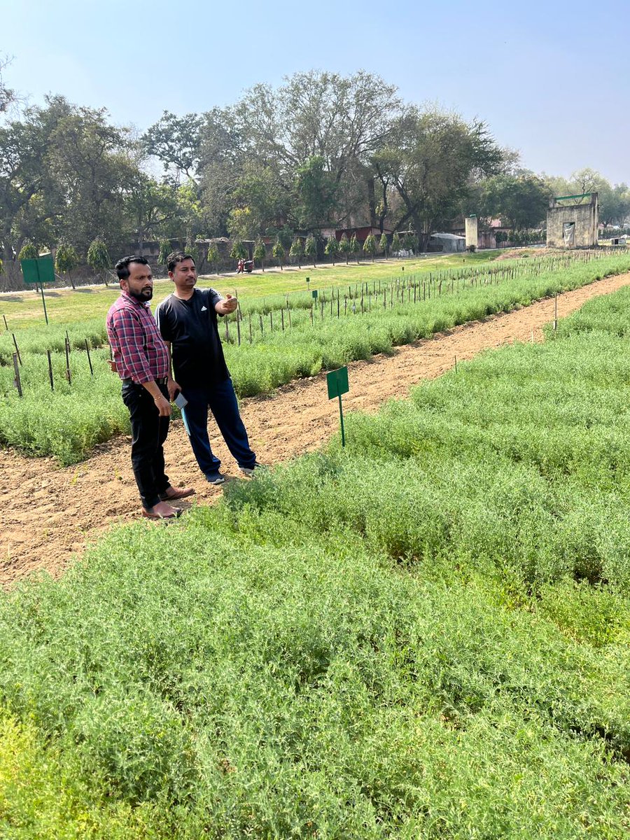 Ashutosh Kumar Yadav tweet media