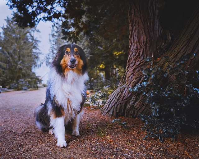 Kim Frerich tweet media