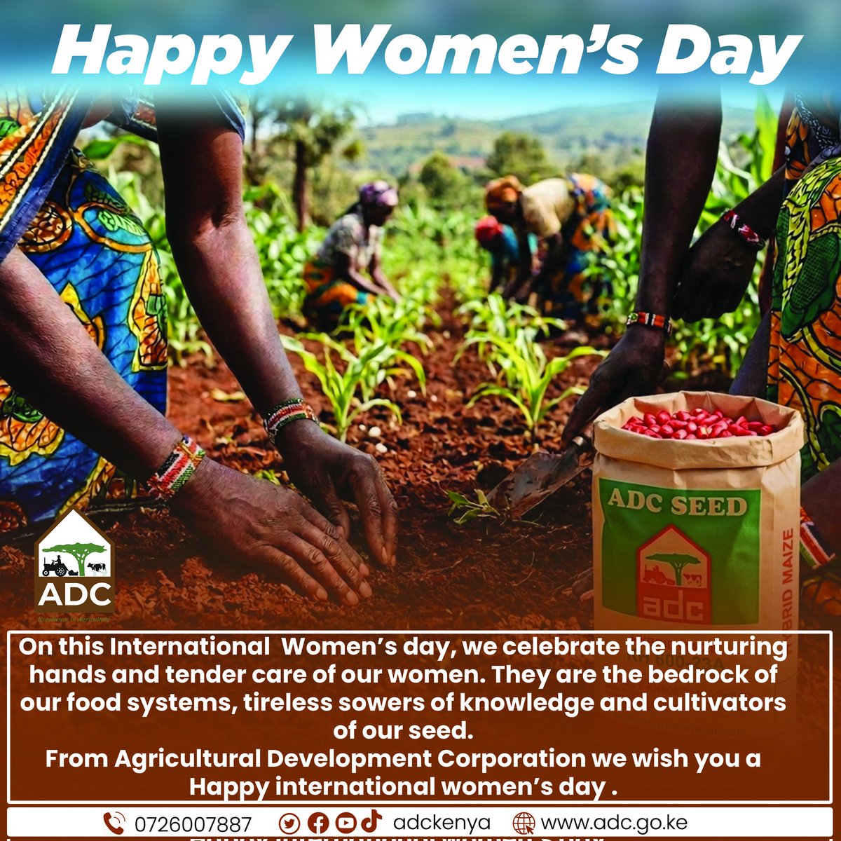 adckenya tweet media