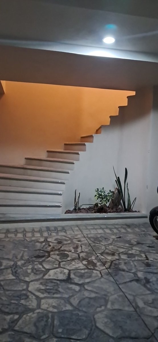 Héctor & Ruby🍆💎💖 Pareja SW tweet media