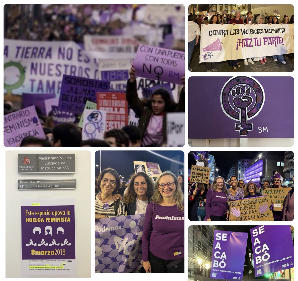 Mª Victoria Rosell Aguilar tweet media