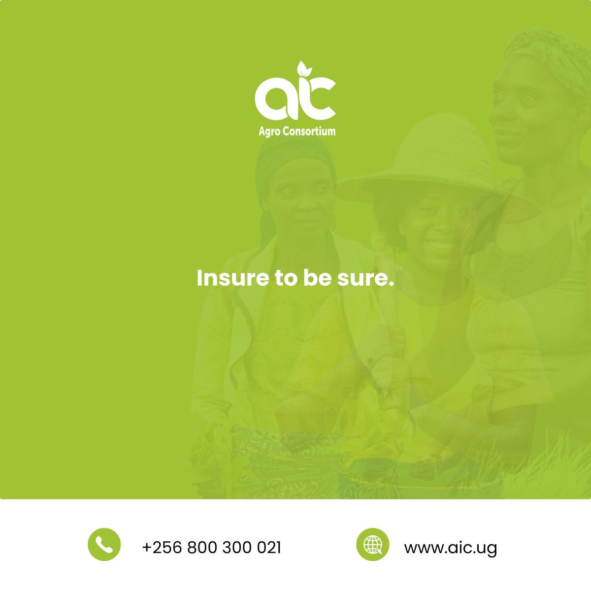 Agro Consortium tweet media