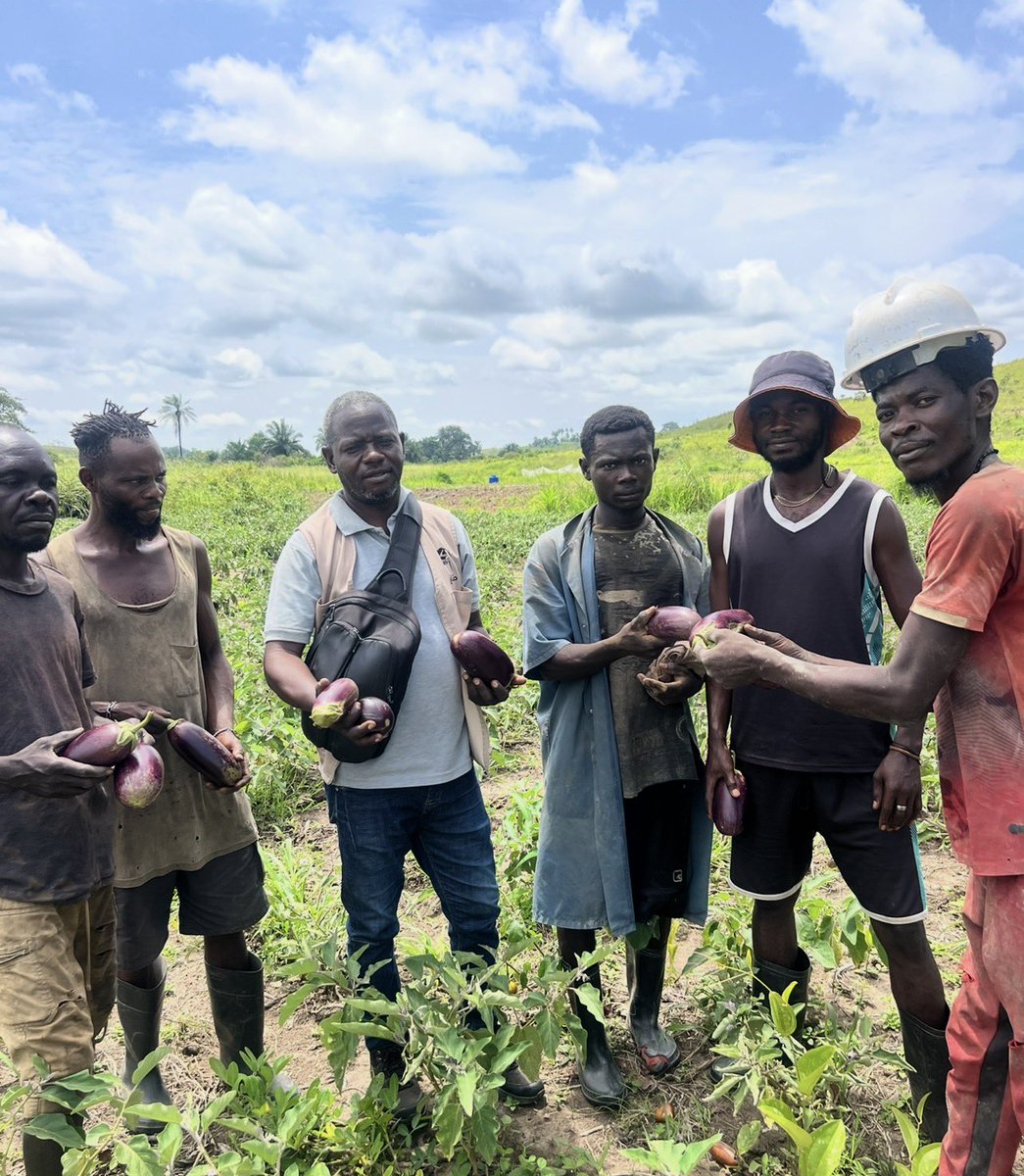 𝖩𝗈𝗁𝗇 𝖫𝗂𝗇𝗀𝖾𝗉𝗈 🇨🇩 tweet media