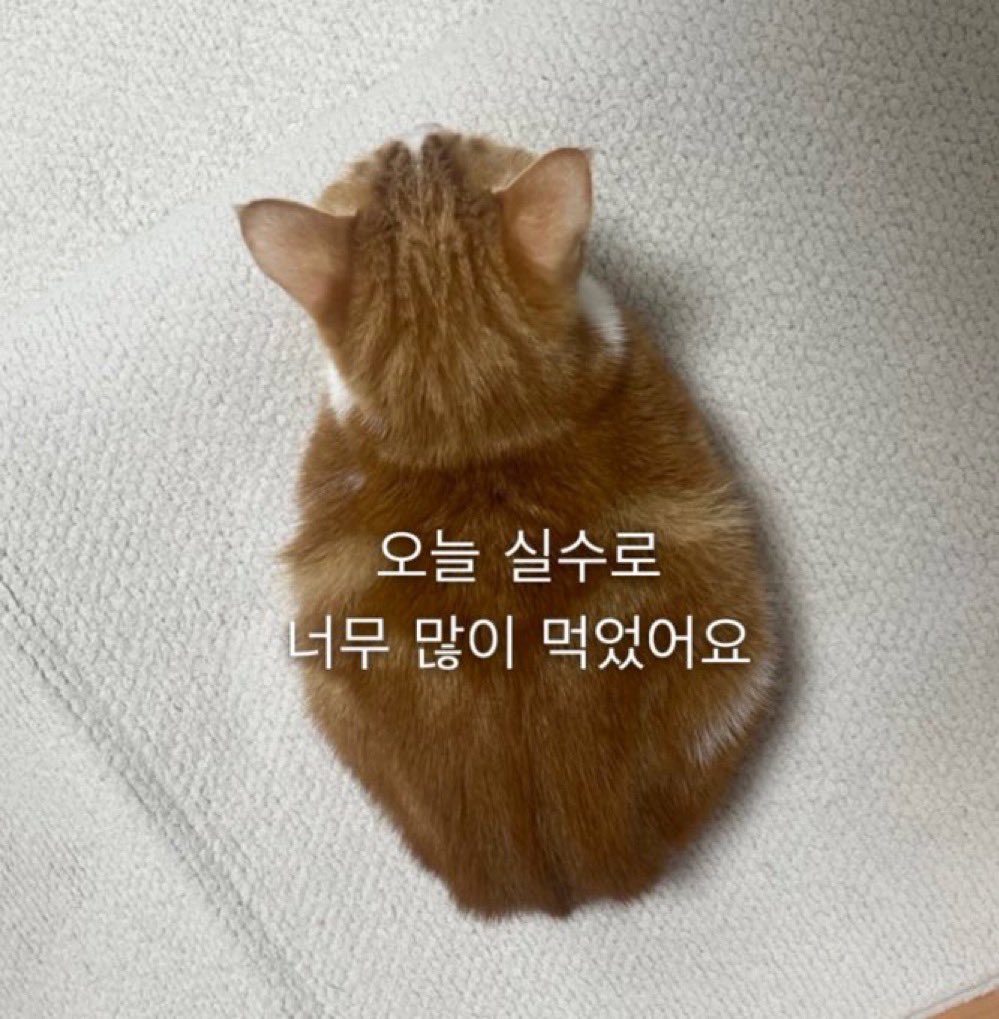 주기적으로 쿠우쿠우 먹어야 되는 병이 있음