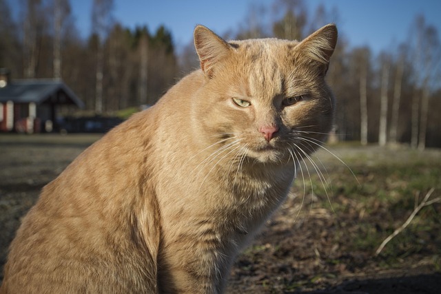 Ryan Sharp tweet media